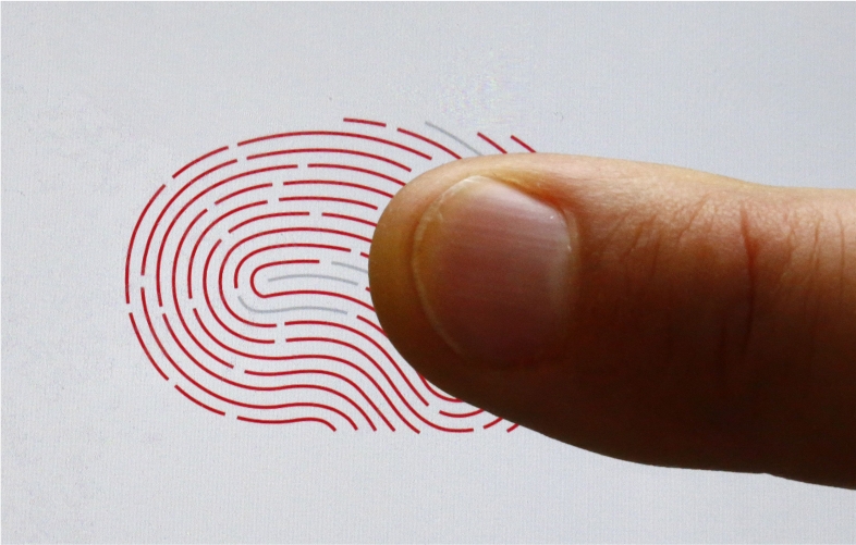 Шийдвэр хурууны хээ, ДНК-тай адил давхардадгүй